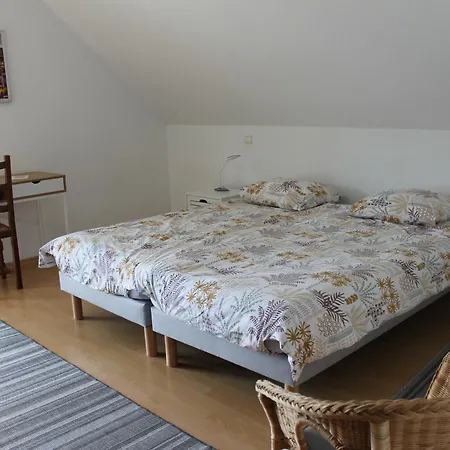 Remy&sylvia Obersaasheim